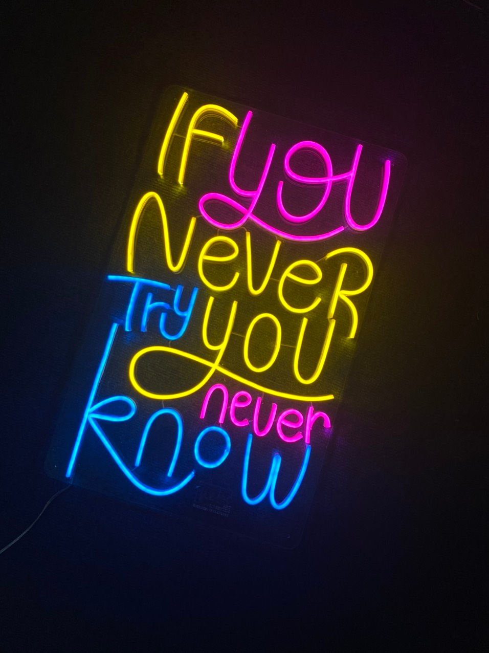 Miniaturbild: If You Never Try You Never Know | LED Neon Sign
