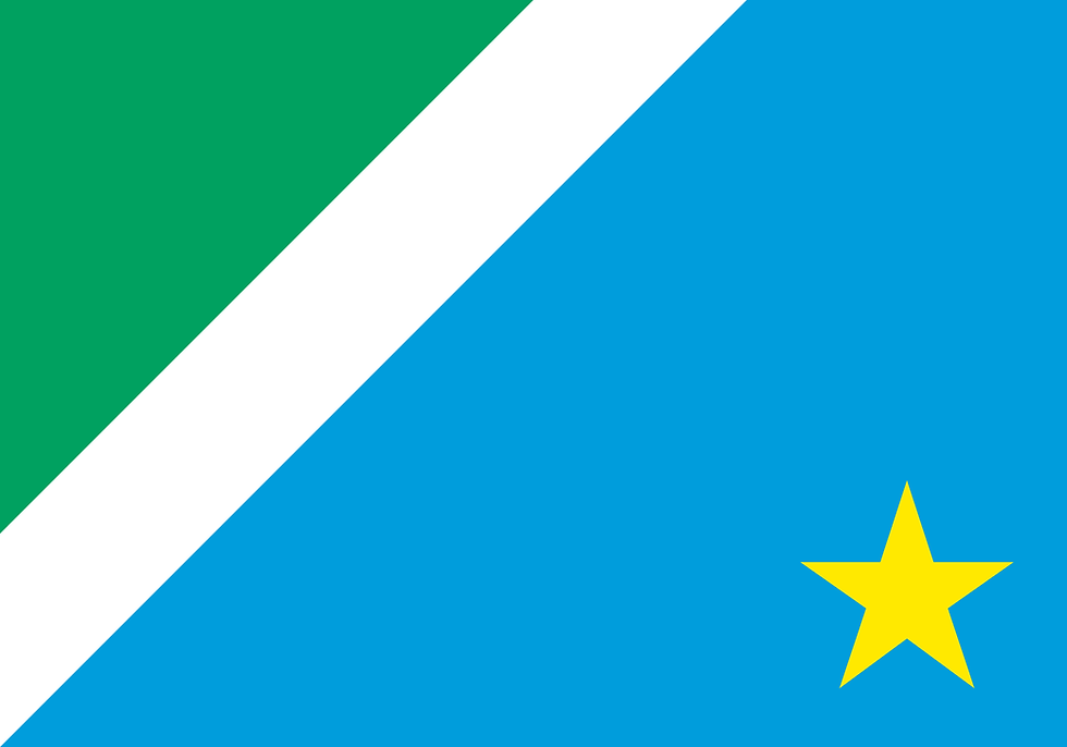 Logo Bandeira do Mato Grosso do Sul