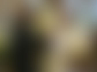 Australian Novice Professes Simple Vows