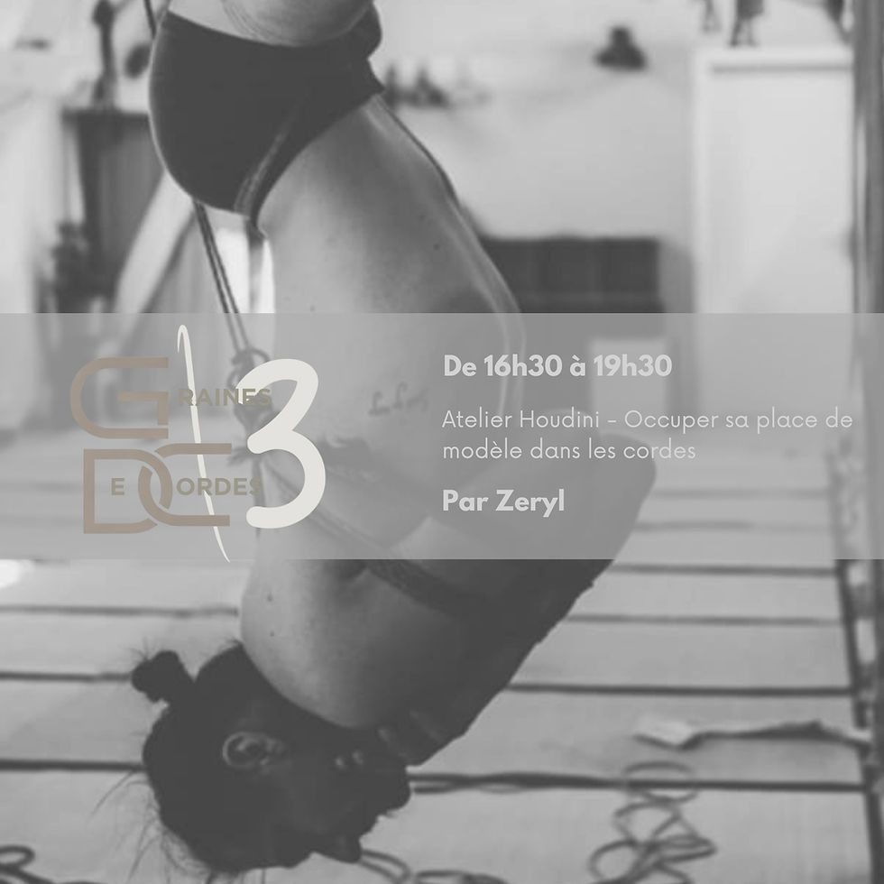 GdC - Jour 2 - Atelier Houdini - Occuper sa place de modèle dans les cordes