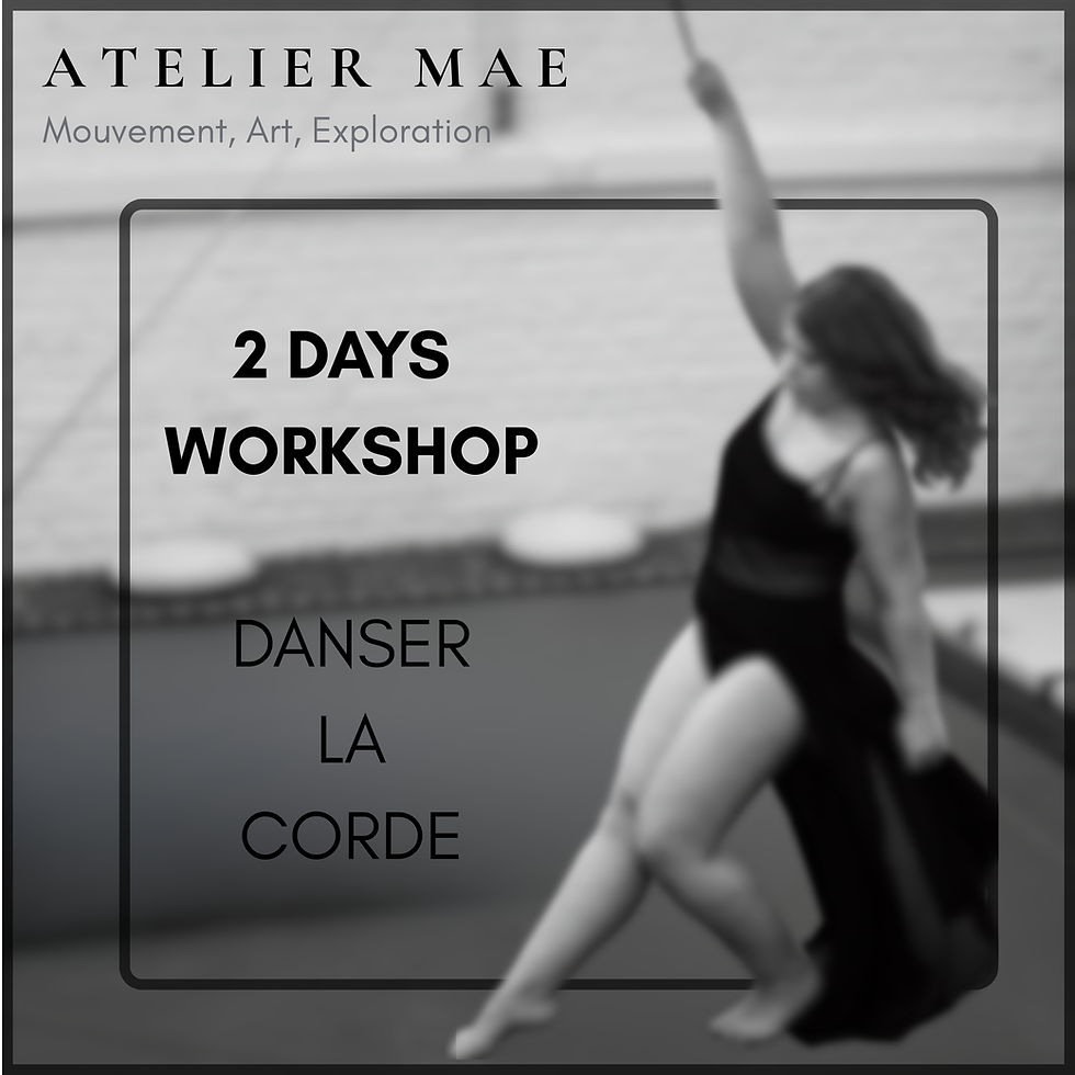 Workshop - Danser la Corde