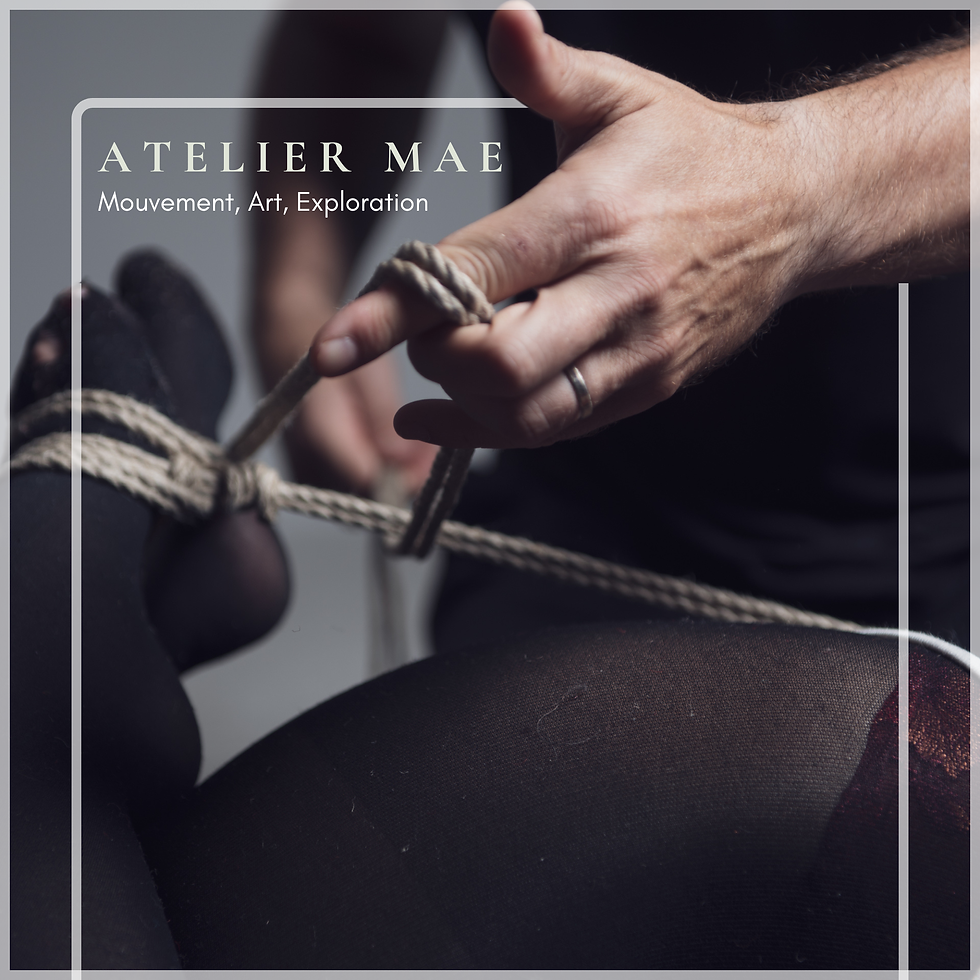 Initiation & découverte du shibari