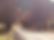 72a9a427-4a54-45db-8a93-d303b3d65489.JPG