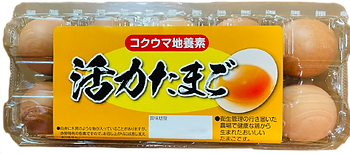 productegg4.png
