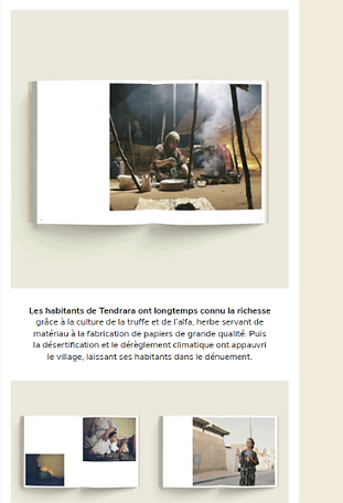 Newsletter_Tendrara (2)_edited_edited.pn