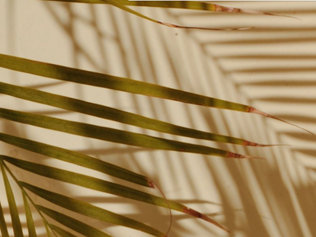 Talking summer, breaks, and the expectations of work.