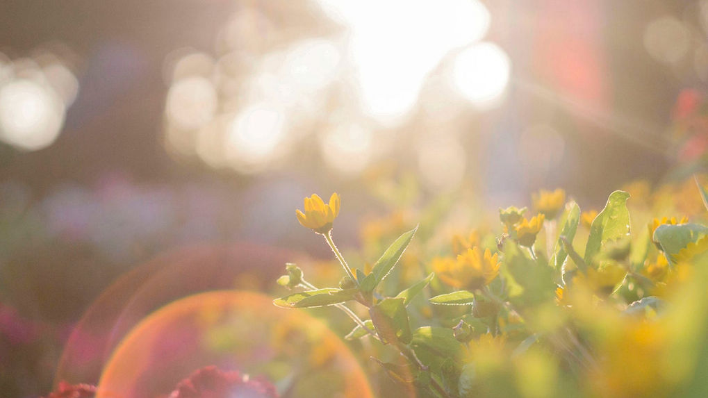 Copy of Online Church.jpg