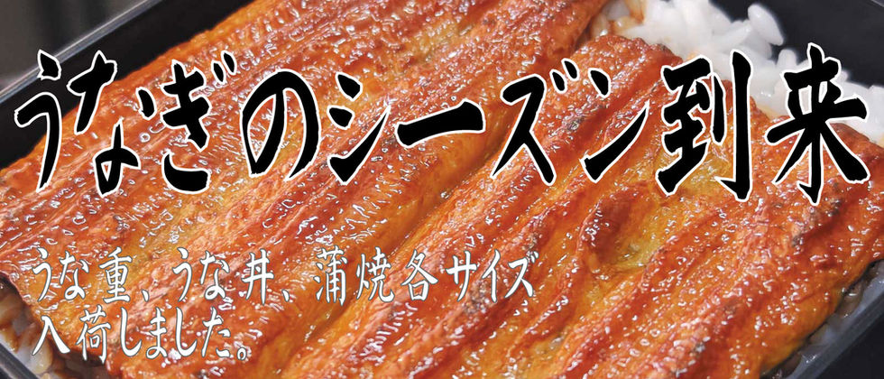 食品サンプルのうな重、うな丼、蒲焼各サイズ入荷しました。