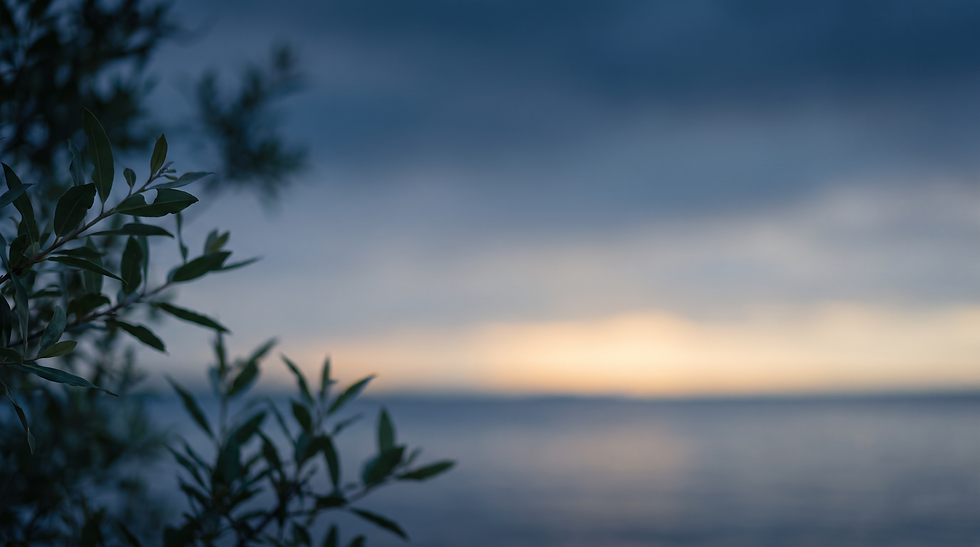 agent_generate_image - A photorealistic wide background image for a medical_wellnes (1).pn