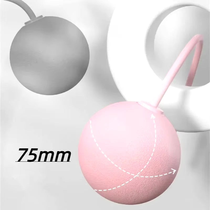 Thumbnail: 1Pcs Cordless Jump Rope Home Gym Equipment with Heavy Balls Sports Fitness Train