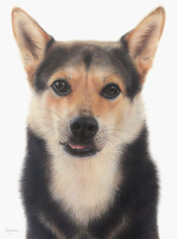 Becky Chan Art | Wei Wei