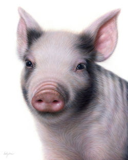 Becky Chan Art | Apollo