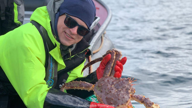 Embark on a thrilling day trip from Levi (Finland) to the Arctic Ocean in North Norway. Join Scandinavian Travel Group for a famous King Crab safari, witness stunning Norwegian Fjords, experience the life of a Norwegian fisherman, and savor freshly caught king crab for dinner. Book your winter adventure online at https://www.scandinavian-travel-group.com. Arctic Adventure: Levi (Finland) to Norwegian Fjords for King Crab Safari with Scandinavian Travel Group.