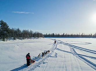 The most popular husky safari at Lapland Wild Witch — 10 km with your own dog team along a frozen river and out across open swamp, the best-balanced choice for riding distance and time without committing to a half day.
