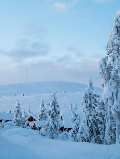 Immerse yourself in the allure of Finland with Scandinavian Travel Group. From the mesmerizing Northern Lights to the vibrant city life of Helsinki, uncover the wonders of this Nordic gem.