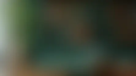 Поиск адвоката в Испании: что учесть?