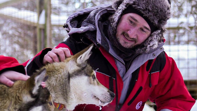 ANIMALS INTERACTION, HUSKY EXPERIENCE