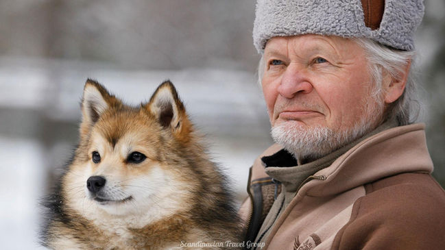 Experience the magic of huskies at one of Finland's oldest kennels in Levi. Book your winter tour online between 1.10 - 30.11 and 1.4 - 30.4. Meet Siberian huskies, arctic foxes, and more. Take a tour, enjoy tricks by movie-star animals, and, as an option, enter the cage with brown foxes for selfies. Warm up in a Laplander's hut with a drink, cookies, and souvenirs. An unforgettable Lapland experience awaits! Winter Adventure at the Famous Husky Kennel in Levi, Lapland. Book Online Now!