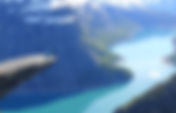 Arctic fiords from Bergen to Trondheim