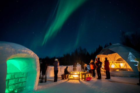 Guided Aurora Hunt, snow igloos, warm Aurora dome with drinks and stories, outdoor BBQ under the arctic sky.