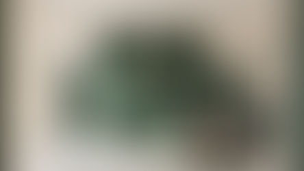 Продление испанского ПМЖ под ключ в офисе Atanesov Petrova, в Барселоне. Foto generada por IA.