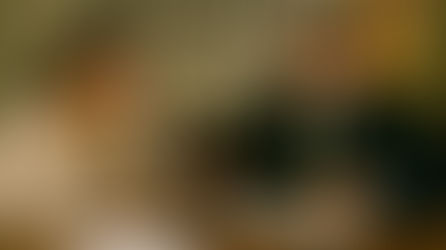 Односторонний развод в Испании: как подать заявление без согласия второго супруга