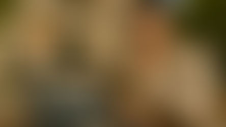 Налоговое резидентство в Испании: как за вами следят и чем это грозит?