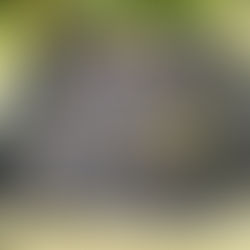 Project Pond! By Carl