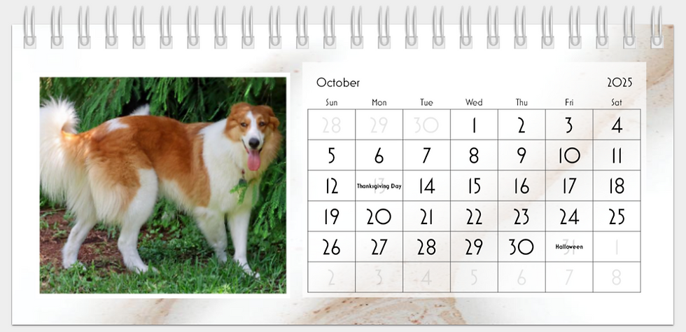 Thumbnail: Celebration 2025 Desktop Calendar
