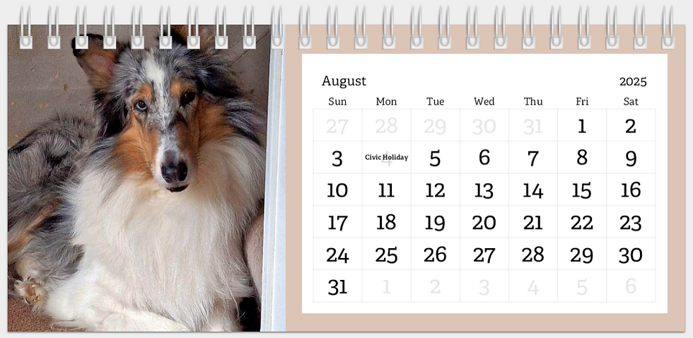 Thumbnail: Collies 2025 Desk Calendar