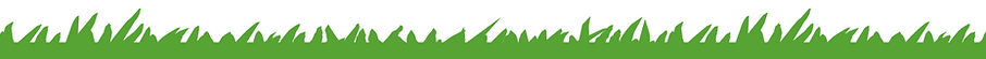 Grass Image.png