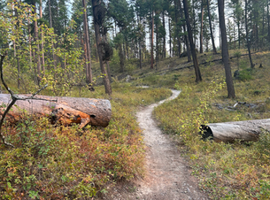September Whitefish Trail Report