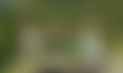 Close the Loop Series: Connecting Community Through Outdoor Education & Stewardship