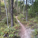 September Whitefish Trail Report