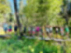 Forest Explorers Week 3