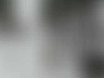 Mid-December Trail Report 