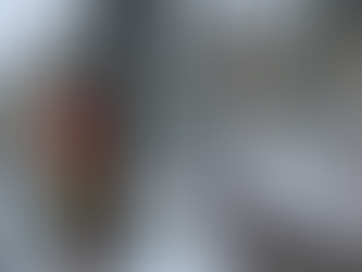 Late October Trail Report