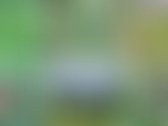 Late June Trail Report