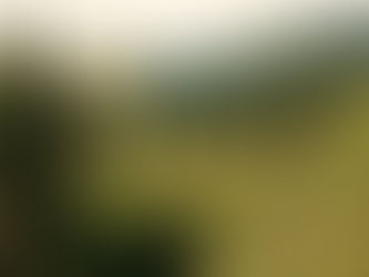 Wild Montana- Film on the Whitefish Range