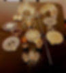 26. Conjunto de Diademas