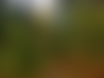 Early October Trail Report