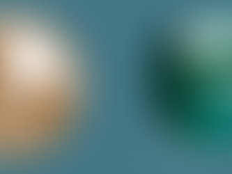 Send Your Comments: Whitefish Trail Annual Public Review Comments due Monday, Dec 1, 2025