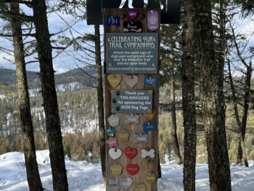 Celebrate your Furry Friends ﻿﻿on the Whitefish Trail Dog Tag Monument
