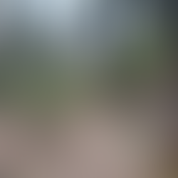 Early April Whitefish Trail Report