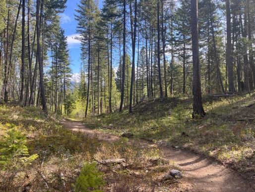 Mid-May 2022 Trail Report