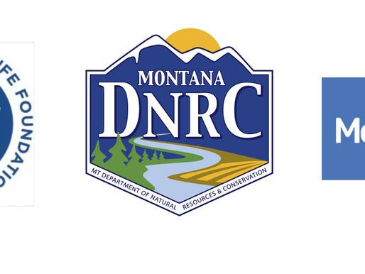 Recent Grant Awards!