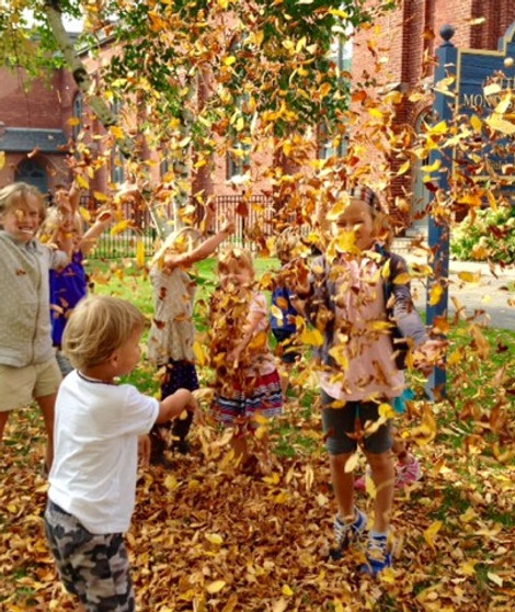 Fall Fun