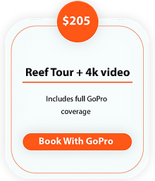 Guided Reef 2Tour.png