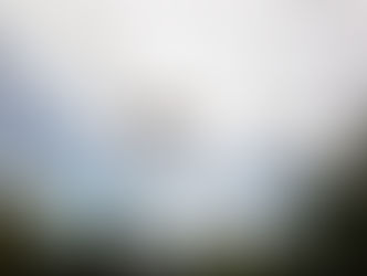 Did UPS File For Drones In Your Neighborhood?