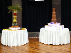Chocolate fountain and fruit display package hire
